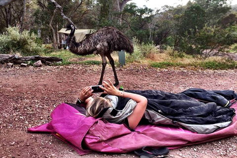 6 Day Esperance & Margaret River Adventure Tour - Restaurant Find 5