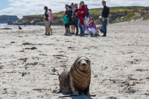 Kangaroo Island In A Day Tour From Adelaide - Restaurant Find 0
