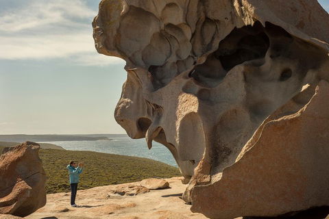 Kangaroo Island In A Day Tour From Adelaide - Restaurant Find 5
