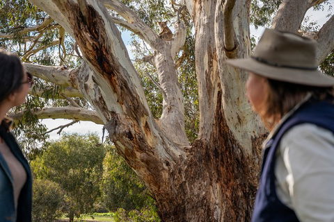 NEW TOUR - Kangaroo Island Road To Recovery Tour (1 Day/1 Night) - Restaurant Find 0