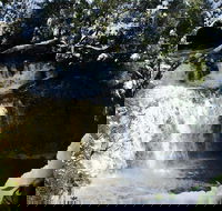 Cradle Mountain Day Tour from Launceston Including Lunch - Restaurant Find