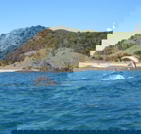 Kayaking with Dolphins in Byron Bay Guided Tour - Restaurant Find