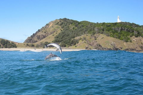 Kayaking With Dolphins In Byron Bay Guided Tour - Restaurant Find 0