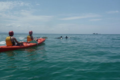 Kayaking With Dolphins In Byron Bay Guided Tour - Restaurant Find 4