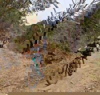 Mount Lofty Descent Bike Tour from Adelaide - Restaurant Find