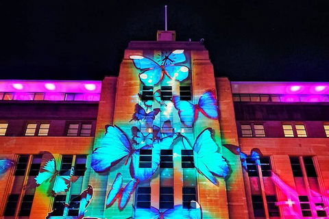 Vivid 90-Minute Sydney Harbour Small Group Catamaran Cruise - Restaurant Find 0