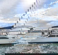 Vivid 90-Minute Sydney Harbour Catamaran Cruise with BYO Drinks - Restaurant Find