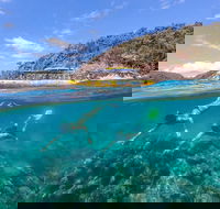 Great Barrier Reef Scenic Flight and Ocean Rafting Whitehaven Beach Day Trip - Restaurant Find