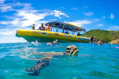 Great Barrier Reef Scenic Flight And Ocean Rafting Whitehaven Beach Day Trip - Restaurant Find 1