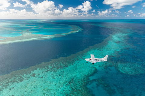 Great Barrier Reef Scenic Flight And Ocean Rafting Whitehaven Beach Day Trip - Restaurant Find 3