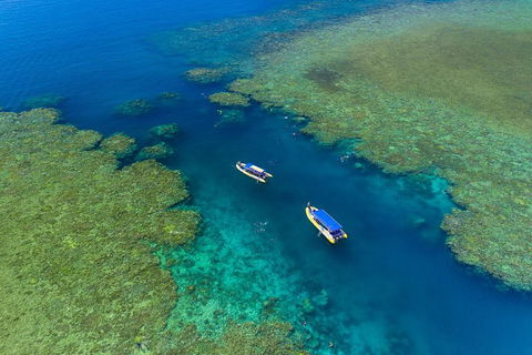 Great Barrier Reef Scenic Flight And Ocean Rafting Whitehaven Beach Day Trip - Restaurant Find 4