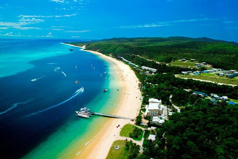 Tangalooma Island Resort Whale Watching Day Cruise - Restaurant Find 2