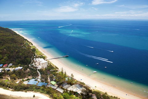 Tangalooma Island Resort Whale Watching Day Cruise - Restaurant Find 3