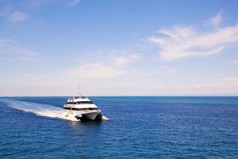 Tangalooma Island Resort Whale Watching Day Cruise - Restaurant Find 5