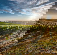 Perth to Margaret River Wine Tour - 2 Day Premium Boutique Wine Tour Experience - Restaurant Find