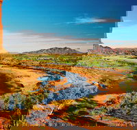 West MacDonnell Ranges Day Trip from Alice Springs - Restaurant Find
