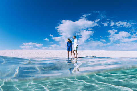 4-Day Coastal Loop Via Monkey Mia Wild Dolphins Kalbarri Pinnacles Perth Return - Restaurant Find 0