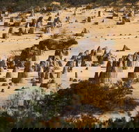 Pinnacles Sunset Dinner and Stargazing Experience a Small Group Tour - Restaurant Find