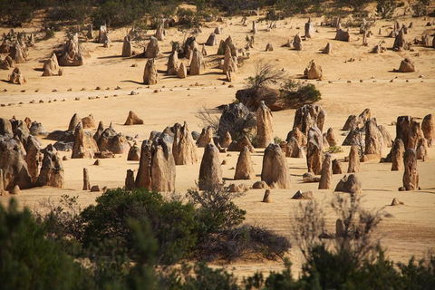 Pinnacles Sunset Dinner And Stargazing Experience A Small Group Tour - Restaurant Find 0