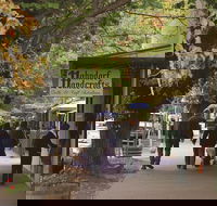 Adelaide Highlights Hahndorf  McLaren Vale Wine Tasting and Sightseeing Tour - Restaurant Find