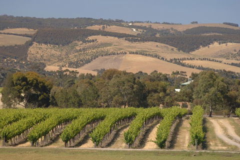 McLaren Vale And Glenelg Wine Tasting And Sightseeing (Half-day Afternoon) - Restaurant Find 2