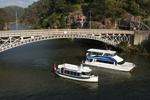 2.5 Hour Morning Discovery Cruise Including Sailing Into The Cataract Gorge - Restaurant Find 5