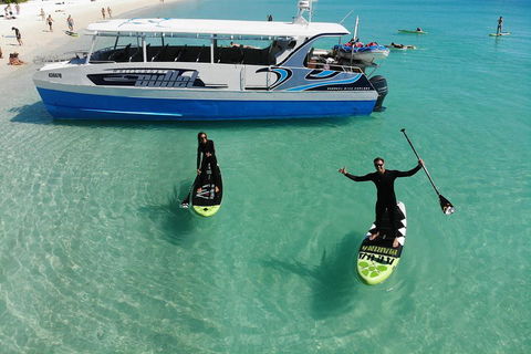 Whitsunday Bullet Day Trip - Whitehaven Beach And Snorkelling - Restaurant Find 4