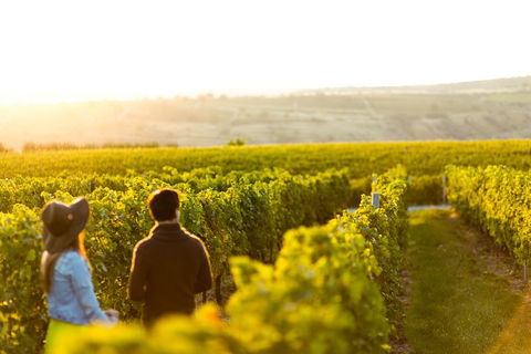 Margaret River Private Tour - Restaurant Find 2