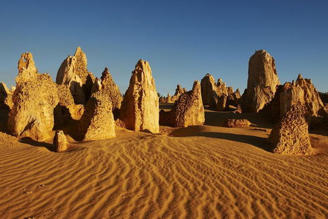 Pinnacles Day Trip From Perth Including Yanchep National Park - Restaurant Find 5