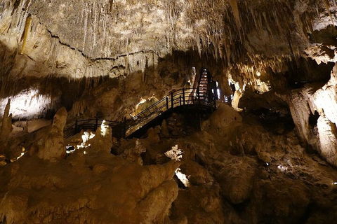 Ngilgi Cave Semi-guided Tour - Restaurant Find 2