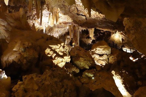 Ngilgi Cave Semi-guided Tour - Restaurant Find 3
