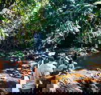 Aquaduck  Your choice of Gold Coast Rainforest Tour - Restaurant Find