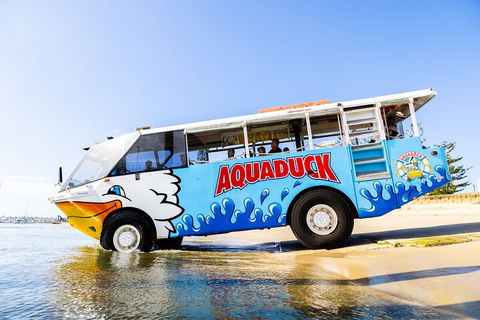 Aquaduck & Your Choice Of Gold Coast Rainforest Tour - Restaurant Find 3