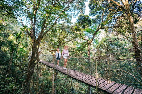 Aquaduck & Your Choice Of Gold Coast Rainforest Tour - Restaurant Find 4