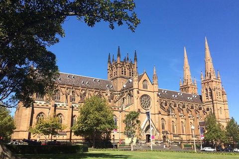 4-Hour Private Sydney Sightseeing Tour With Pickup - Restaurant Find 3