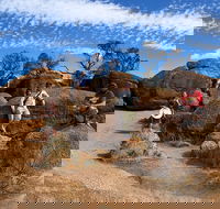 The Big Wave Rock Private Day Tour - Restaurant Find