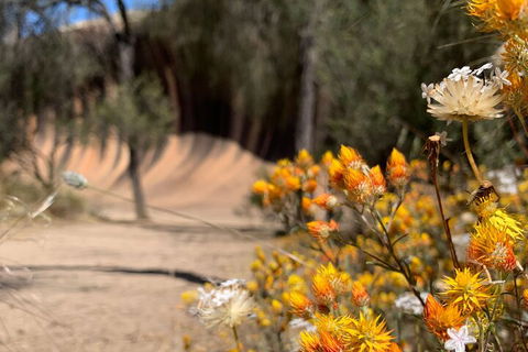 The Big Wave Rock (Private) Day Tour - Restaurant Find 3