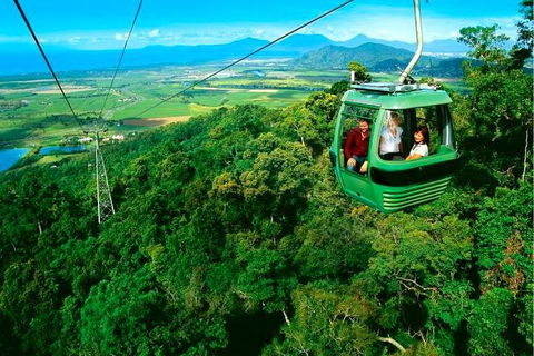4-Day Cairns Ultimate Combo: Daintree Rainforest, Reef, Kuranda & Paronella Park - Restaurant Find 1