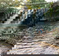 Paronella Park and Millaa Millaa Falls Full-day Tour from Cairns - Restaurant Find