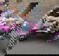 Sydney Sights Trike Tour 1 Hour - Restaurant Find