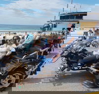 Bondi  Sydney Sights Trike Tour 1.5hrs - Restaurant Find