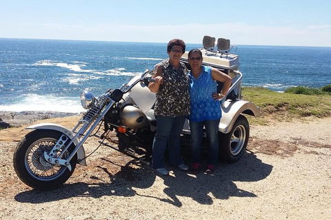 Bondi & Sydney Sights Trike Tour 1.5hrs - Restaurant Find 1