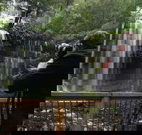 Mt Field and Styx Valley Photography Tour - Restaurant Find