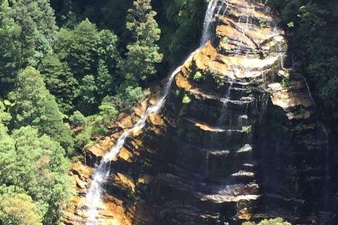 Private Blue Mountains Tour With Kangaroo And Koala Experience - Restaurant Find 5