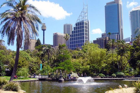 Private Sydney Half Day Tour Including Sydney Opera House And Bondi Beach - Restaurant Find 4