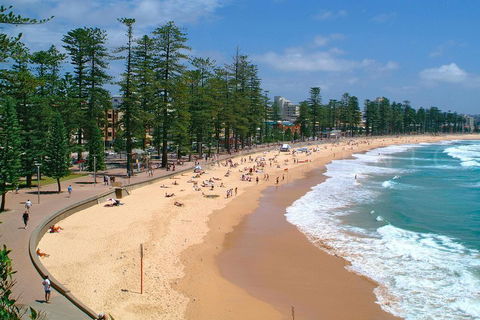 Private Sydney Full Day Tour Including Sydney Opera House, Bondi And Manly - Restaurant Find 3