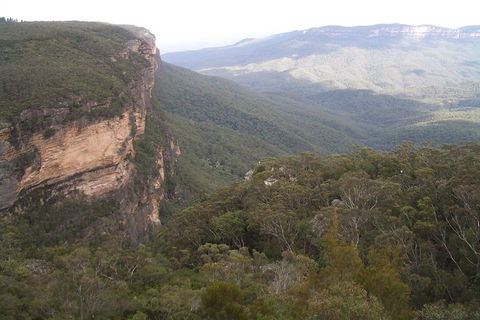 Full-Day Private Blue Mountains Tour With River Cruise - Restaurant Find 3