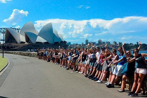 7-Day Tour In Sydney With Airport Pickup - Restaurant Find 3