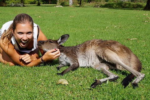 7-Day Tour In Sydney With Airport Pickup - Restaurant Find 4