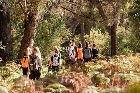 Half-Day Yanchep Ghost House Wilderness Guided Hike Tour - Restaurant Find 0